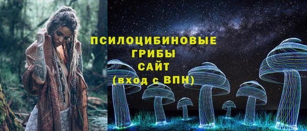герыч Алексин