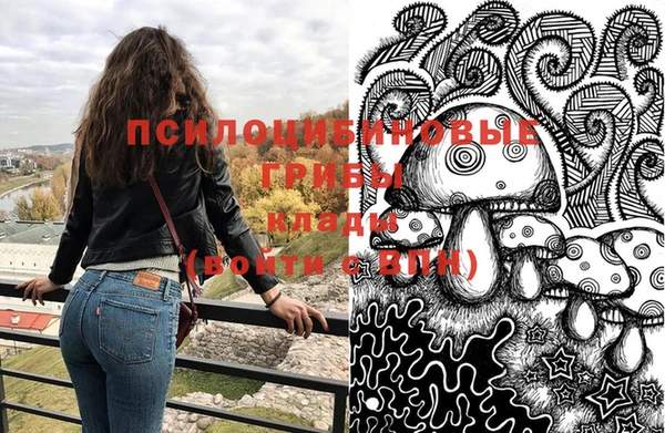 герыч Алексин