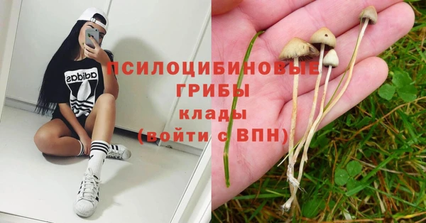 герыч Алексин