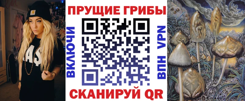 Галлюциногенные грибы MAGIC MUSHROOMS  Хвалынск 